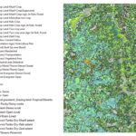 Land use land cover big